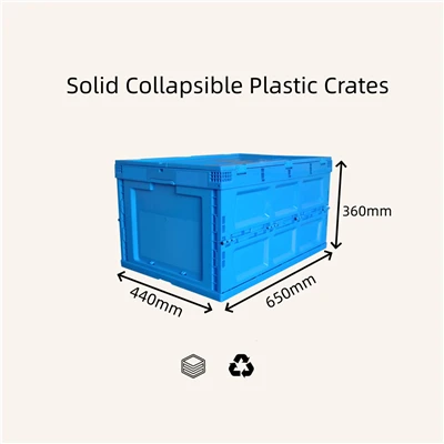 Peti Plastik Padat yang Dapat Dilipat